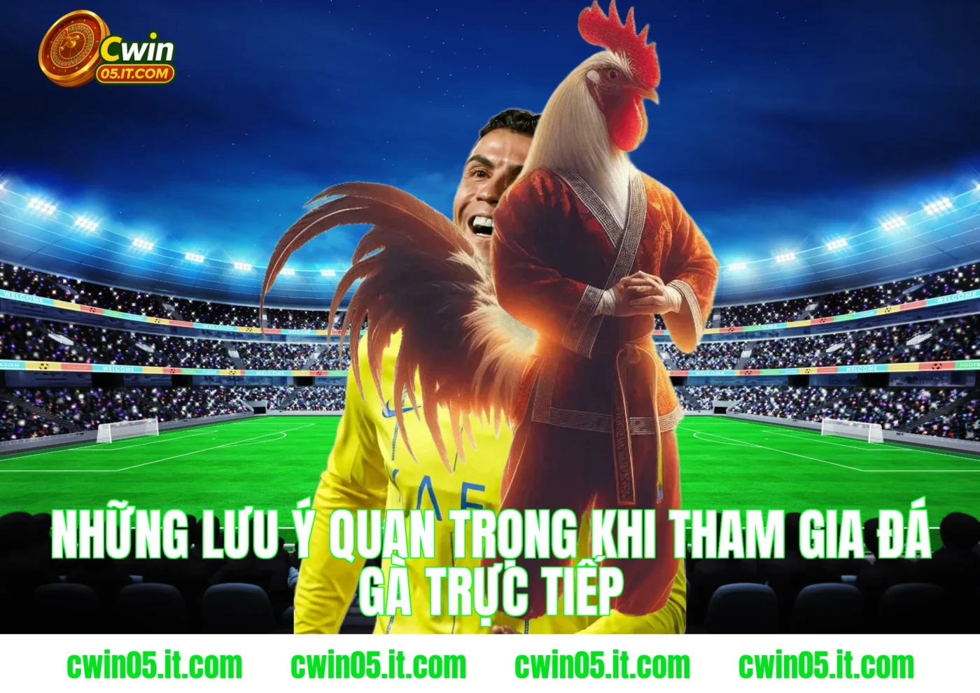Những lưu ý quan trọng khi tham gia đá gà trực tiếp